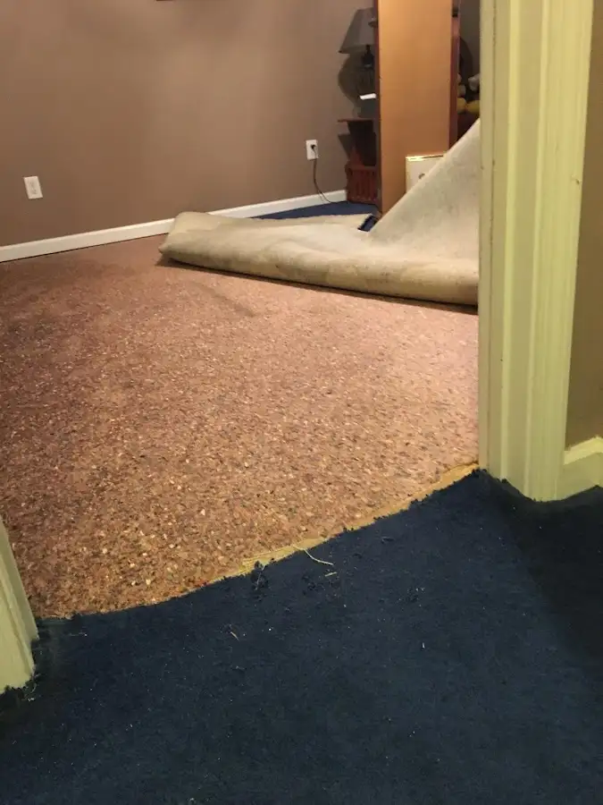 Carpet pad removal revealing water damage during Water Mitigation Services in Vincent