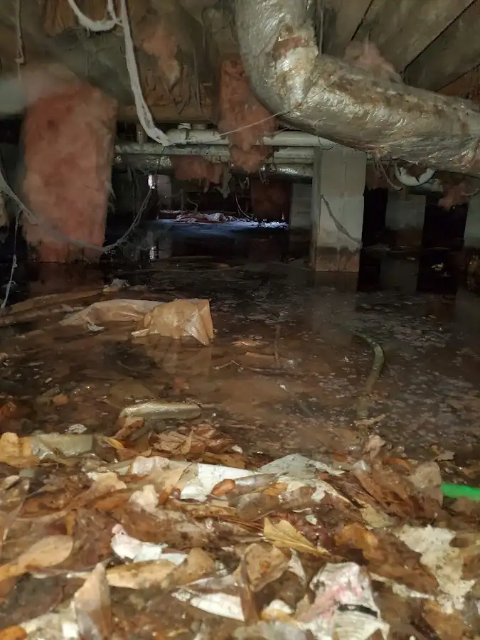 Crawl space flood assessment for Leak Detection & Repair in Vincent