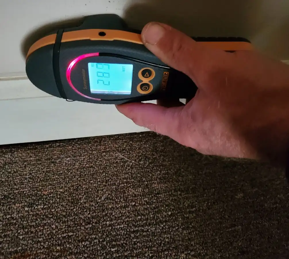 Moisture detection at baseboard during Mold Inspection & Testing in Vincent